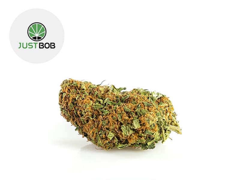 fleur CBD Justbob