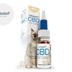 Olio di CBD 4% per Gatto - Cibdol